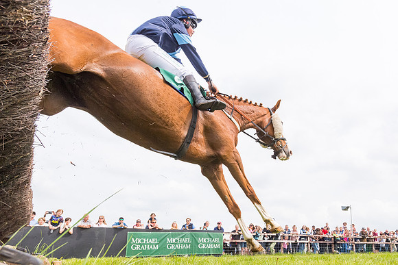 Race 2 - Owner-Trainer Conditions  (105 of 208)