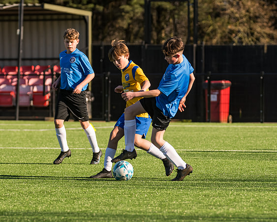 Under 12s --53