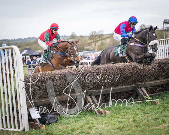 Race 6 - The Restricted Race (32 of 101)