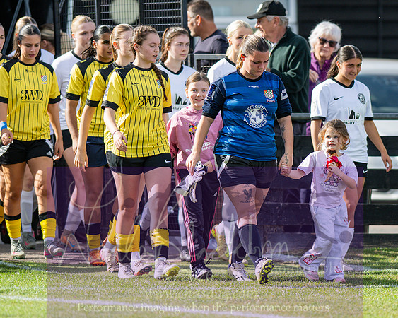 Royston Town 3 v 2 Chesham United (57 of 496)
