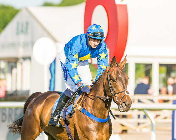 Race 3 - John Corbet Cup (26 of 127)