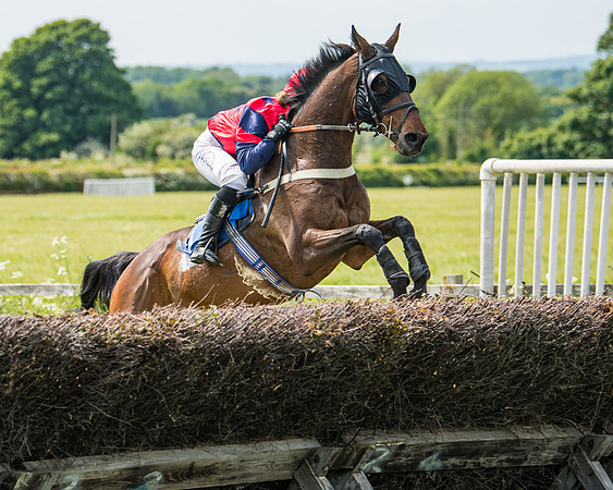 Race 2 - PPORA Novice Riders (231 of 444)