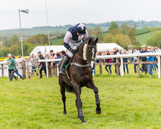 Race 7 - Veteran Horse conditions (93 of 244)