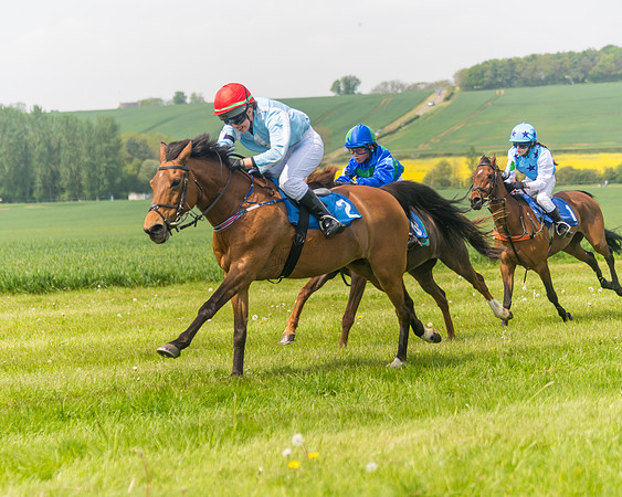 Pony Race 1 - 138cm (48 of 74)