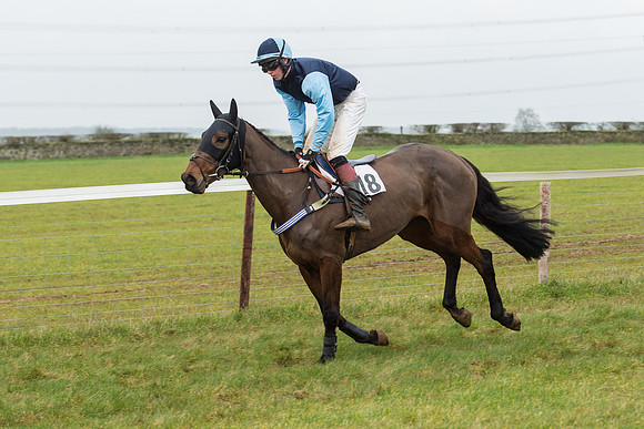 Race 6 - Open Maiden Race Div 1  (21 of 90).jpg