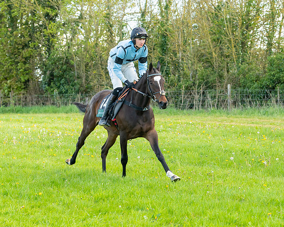 Race 7 - Maiden  (15 of 113)
