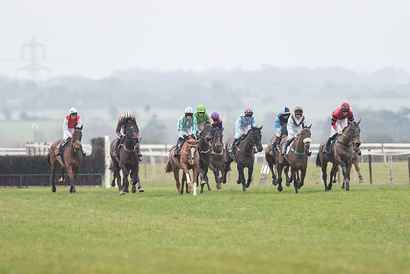 Race 6 - Open Maiden Race Div 1  (34 of 90).jpg