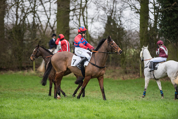 Race 5 - Ladies Open Race (23 of 119).jpg