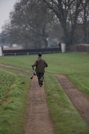 Race 7 - Young Horse Maiden  (4 of 64).jpg