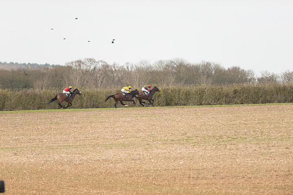 Race 4 - Mens Open (69 of 72).jpg