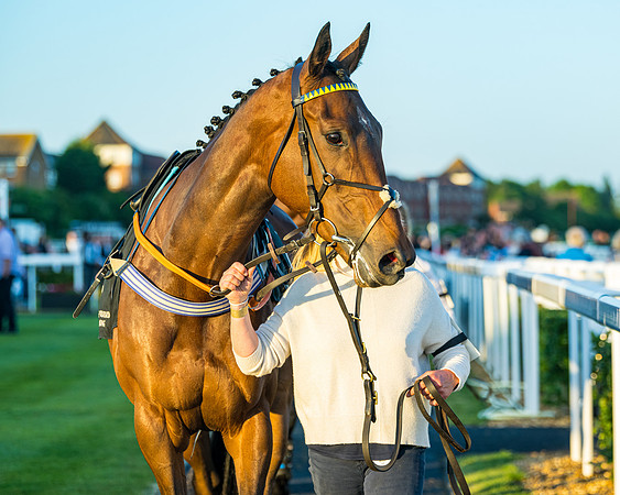 Race 7 - ITM NH Flat Race (19 of 197)