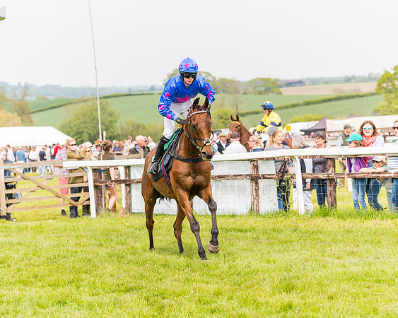 Race 2 - Owner-Trainer Conditions  (51 of 208)