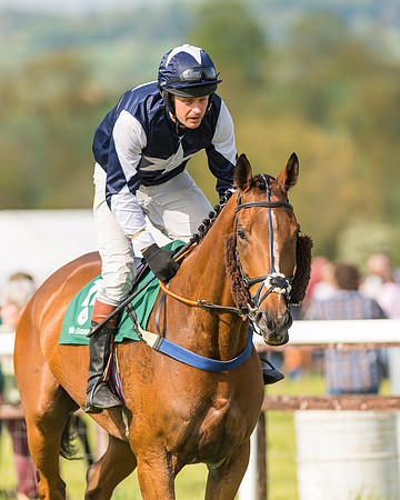 Race 5 - Restricted  (31 of 164)