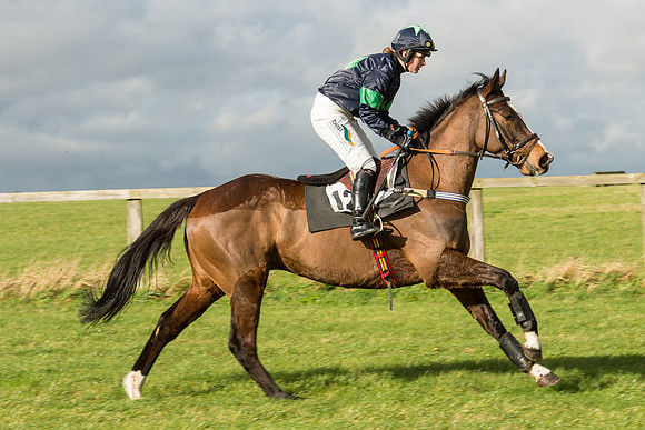 Race 2 - Young Horse Maiden (21 of 110).jpg