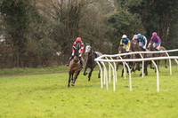 Race 1 - Young Horse Maiden (2 of 50).jpg