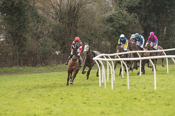 Race 1 - Young Horse Maiden (2 of 50).jpg