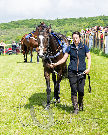 Race 2 - Novice Riders (3 of 369)