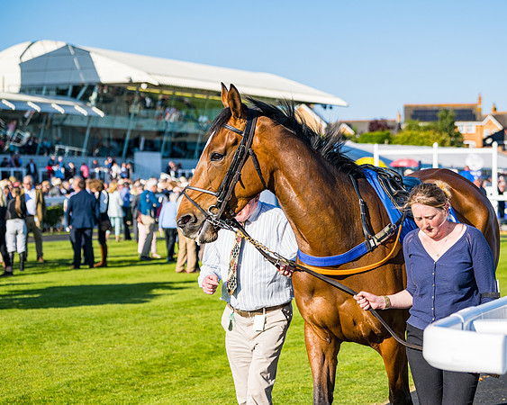 Race 3 - John Corbet Cup (6 of 127)