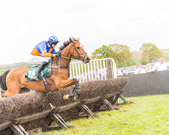 Race 6 = Maiden (119 of 187)