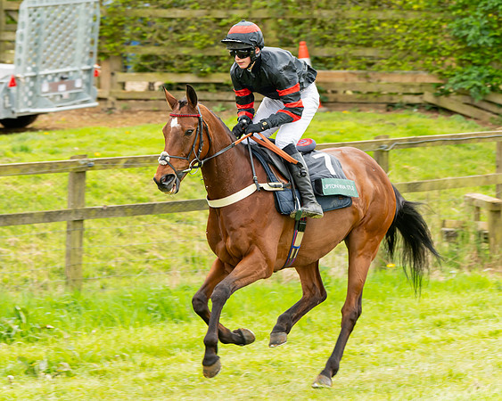 Race 2 - ROR and veteran Horse Conditions race (5 of 77)