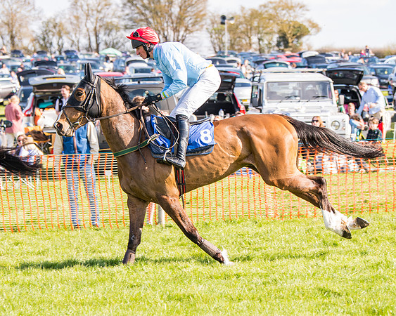 Race 5 - The Waverton Investment Management Ltd Restricted Race farmers and subscribers Race  (15 of 161)