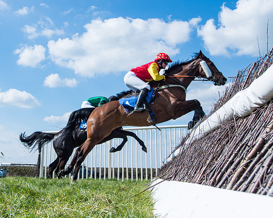 Race 3 -The Richardsons Accountants Conditions Race for Novice Riders  (76 of 154)