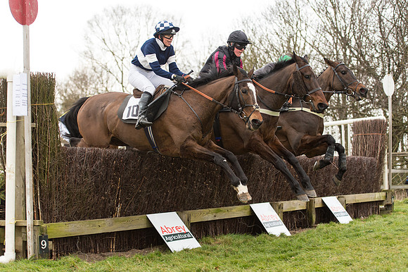 Race 2 - PPORA Novice riders  (149 of 186).jpg
