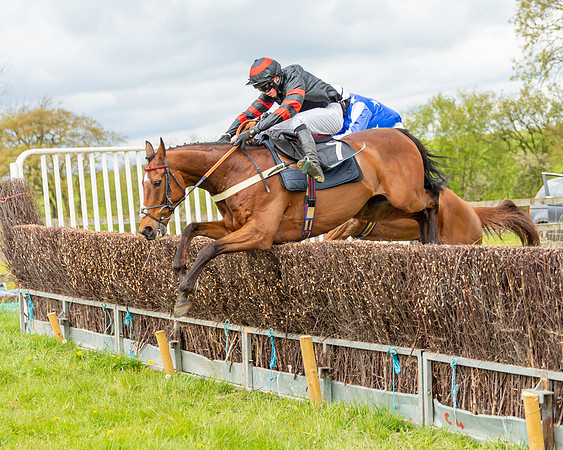 Race 2 - ROR and veteran Horse Conditions race (47 of 77)