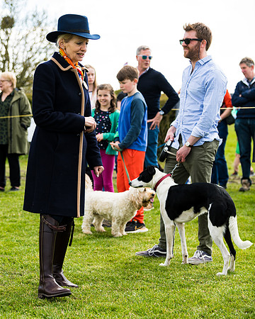 Dog show etc (99 of 157)