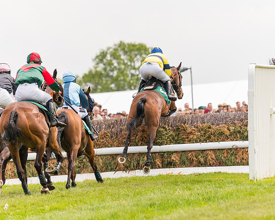 Race 2 - Owner-Trainer Conditions  (91 of 208)