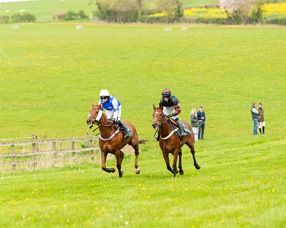 Race 2 - ROR and veteran Horse Conditions race (10 of 77)