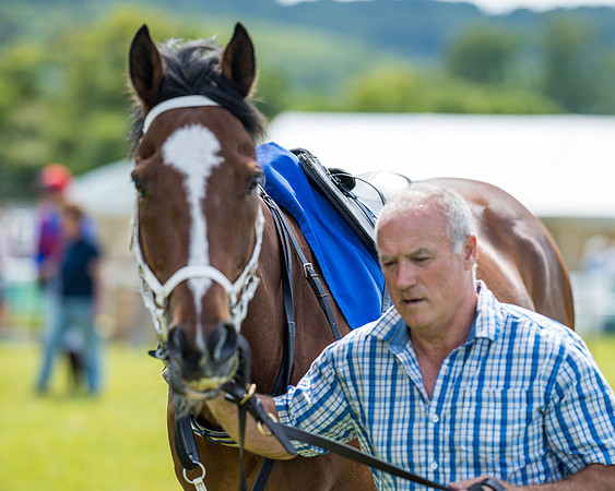Race 2 - PPORA Novice Riders (92 of 444)