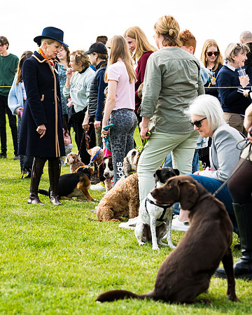 Dog show etc (109 of 157)
