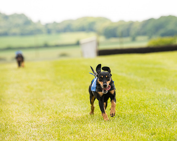 Draghounds Race (190 of 212)