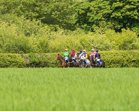 Race 2 - The Restricted Race  (53 of 122)