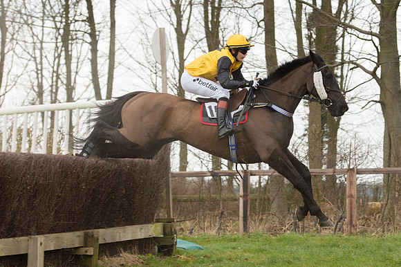 Race 2 - PPORA Novice riders  (107 of 186).jpg