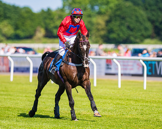 Race 1 - JFF Open Hunter Steeple Chase 2m  (29 of 202)