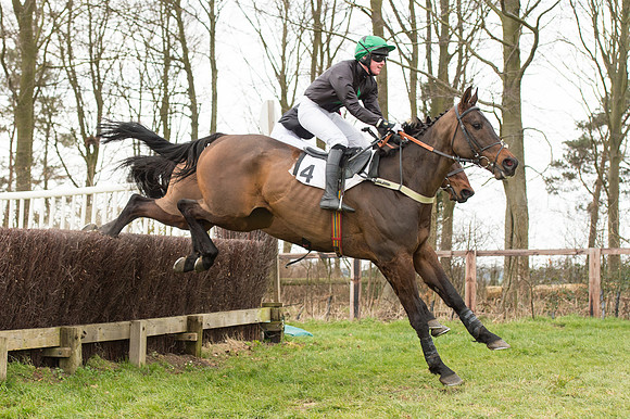 Race 2 - PPORA Novice riders  (91 of 186).jpg