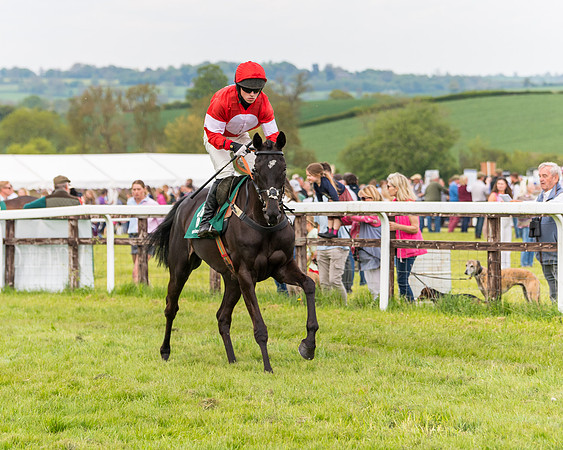 Race 6 = Maiden (16 of 187)