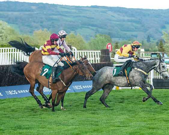 Race 5 - Mares Open  (135 of 329)