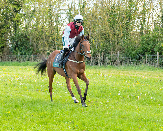 Race 7 - Maiden  (16 of 113)