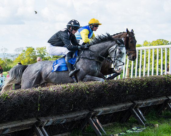Race 5 - 2m5f Maiden (45 of 144)