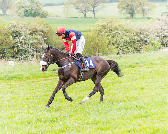 Race 6 - Maiden (19 of 129)