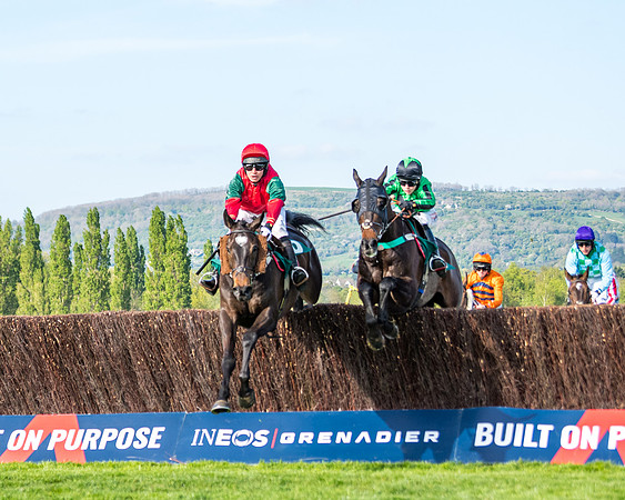 Race 2  -  Intermediate Point to Point Hunters' Steeple Chase (110 of 277)