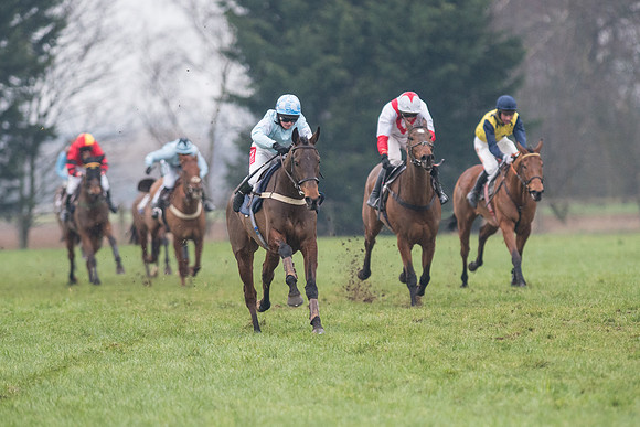 Race 7 - Young Horse Maiden  (37 of 64).jpg