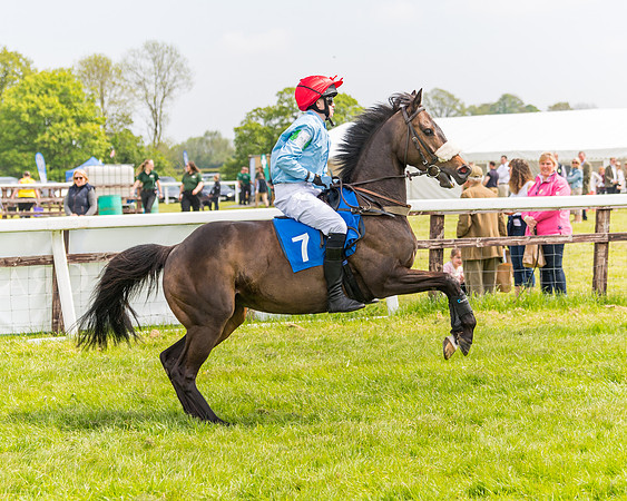Pony Race 2 - 148cm (3 of 142)