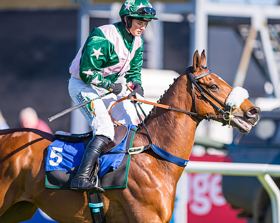 Race 1 - JFF Open Hunter Steeple Chase 2m  (47 of 202)
