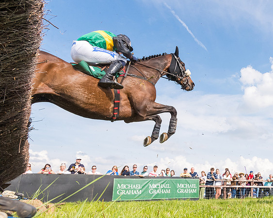 Race 5 - Restricted  (85 of 164)