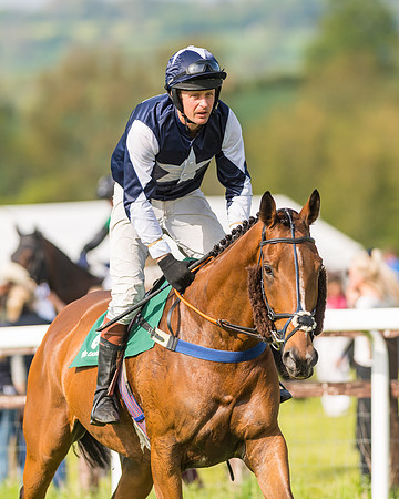 Race 5 - Restricted  (30 of 164)