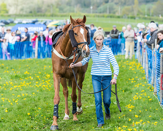 Race 2 - Veteran Horse  (7 of 82)